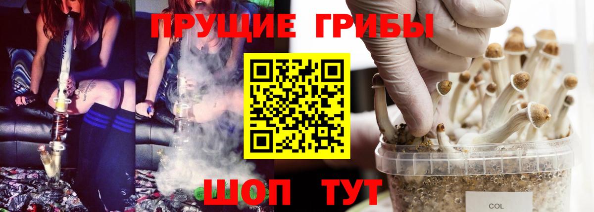 Псилоцибиновые грибы Cubensis  Галлюциногенные грибы Cubensis  Вход с VPN  Кудымкар 