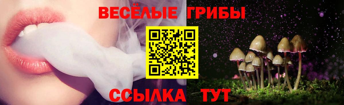 Псилоцибиновые грибы MAGIC MUSHROOMS Кудымкар